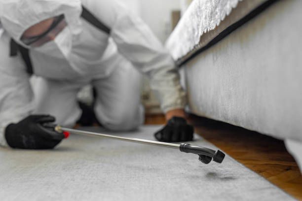 Professional Bed Bug Control technician working in Fort McKinley, OH