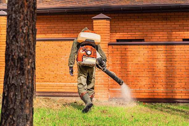 Trusted Bed Bug Control service in Fort McKinley, OH - Nex Pest Control
